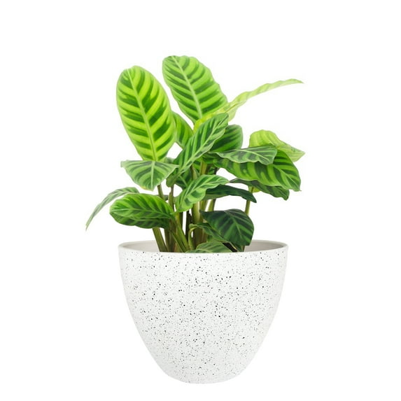 La Jolie Muse Flower Pots Outdoor Indoor Garden Planters,Plant Pots Containers with Drain Hole, Speckled White (8.6 inch, 1 Pack)