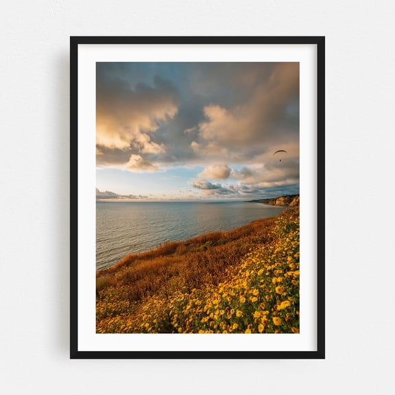 La Jolla Coastal 02 - San Diego California Photography Sunset Coast Flowers Seascape Landscape Scenic Nature Black Framed Wall Art Print 5 x 7 inches