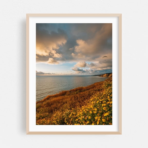 La Jolla Coastal 02 - San Diego California Photography Sunset Coast Flowers Seascape Landscape Scenic Nature Oak Framed Wall Art Print 5 x 7 inches