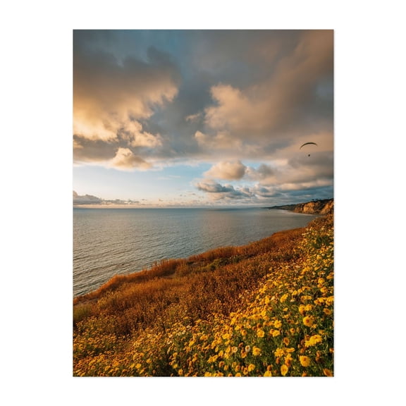 La Jolla Coastal 02 - San Diego California Photography Sunset Coast Flowers Seascape Landscape Scenic Nature Unframed Wall Art Print 36 x 48 inches
