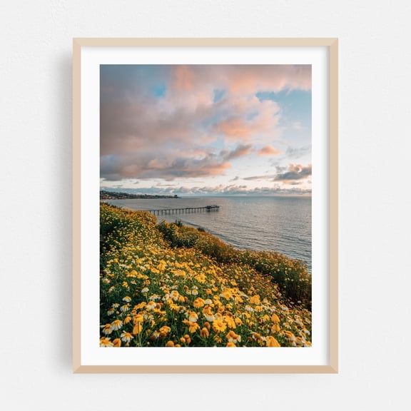 La Jolla Coastal 03 - San Diego California Photography Landscape Flowers Ocean Sunset Seascape Coast Scenic Oak Framed Wall Art Print 6 x 8 inches