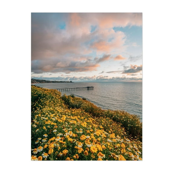 La Jolla Coastal 03 - San Diego California Photography Landscape Flowers Ocean Sunset Seascape Coast Scenic Unframed Wall Art Print 30 x 40 inches