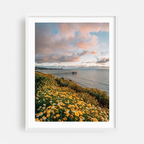 La Jolla Coastal 03 - San Diego California Photography Landscape Flowers Ocean Sunset Seascape Coast Scenic White Framed Wall Art Print 5 x 7 inches