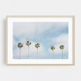 thumbnail image 1 of La Jolla Palms 01 - La Jolla California Photography Palm Tree Tropical Minimalist Summer Beach Coastal Pastel Oak Framed Wall Art Print 5 x 7 inches, 1 of 9