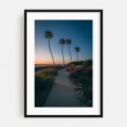 thumbnail image 1 of La Jolla Palms 03 - La Jolla California Photography Black Framed Wall Art Print 20 x 30 inches, 1 of 8