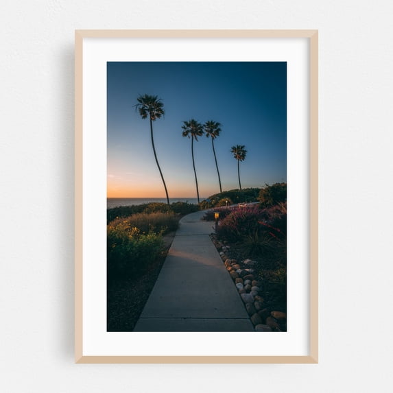 La Jolla Palms 03 - La Jolla California Photography Oak Framed Wall Art Print 24 x 36 inches