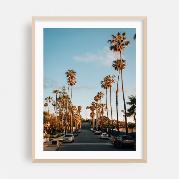 La Jolla Palms - San Diego California Photography Palm Tree Street Photography Tropical Sunset City Scenic Travel Poster Oak Framed Wall Art Print 16 x 20 inches