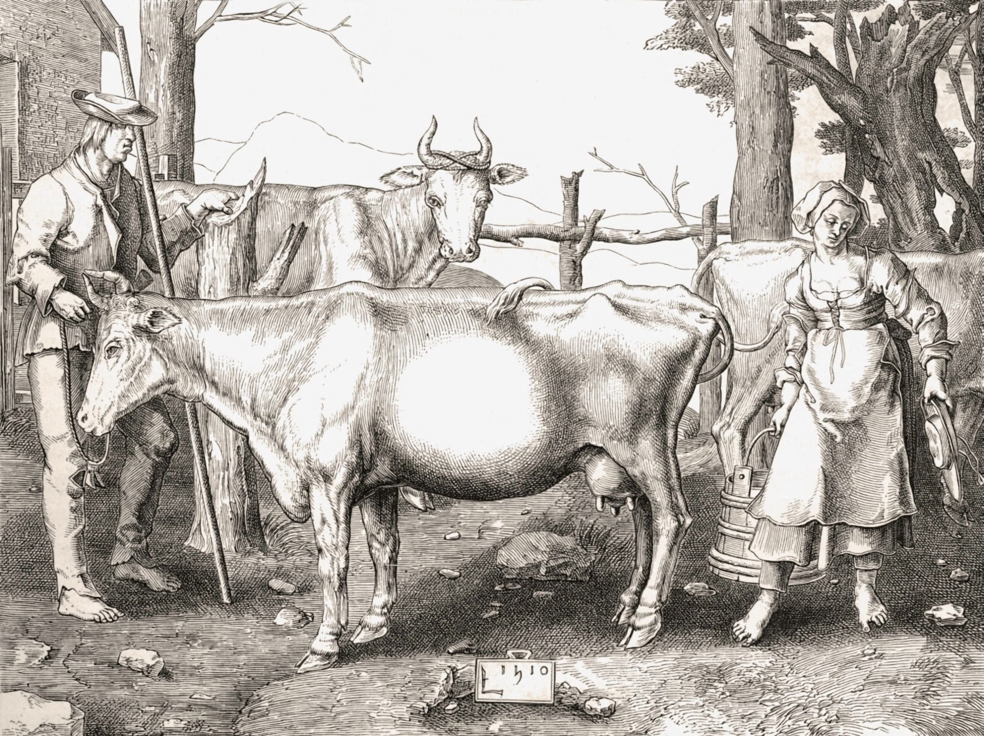 La Laitiere Or The Milkmaid By Lucas Van Leyden 16Th Century Farming From Histoire Des Peintres De Toutes Les Coles Cole Hollandaise Published 1863 Canvas Art - Ken Welsh Design Pics (32 x 24)