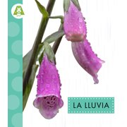 La Lluvia, Paperback