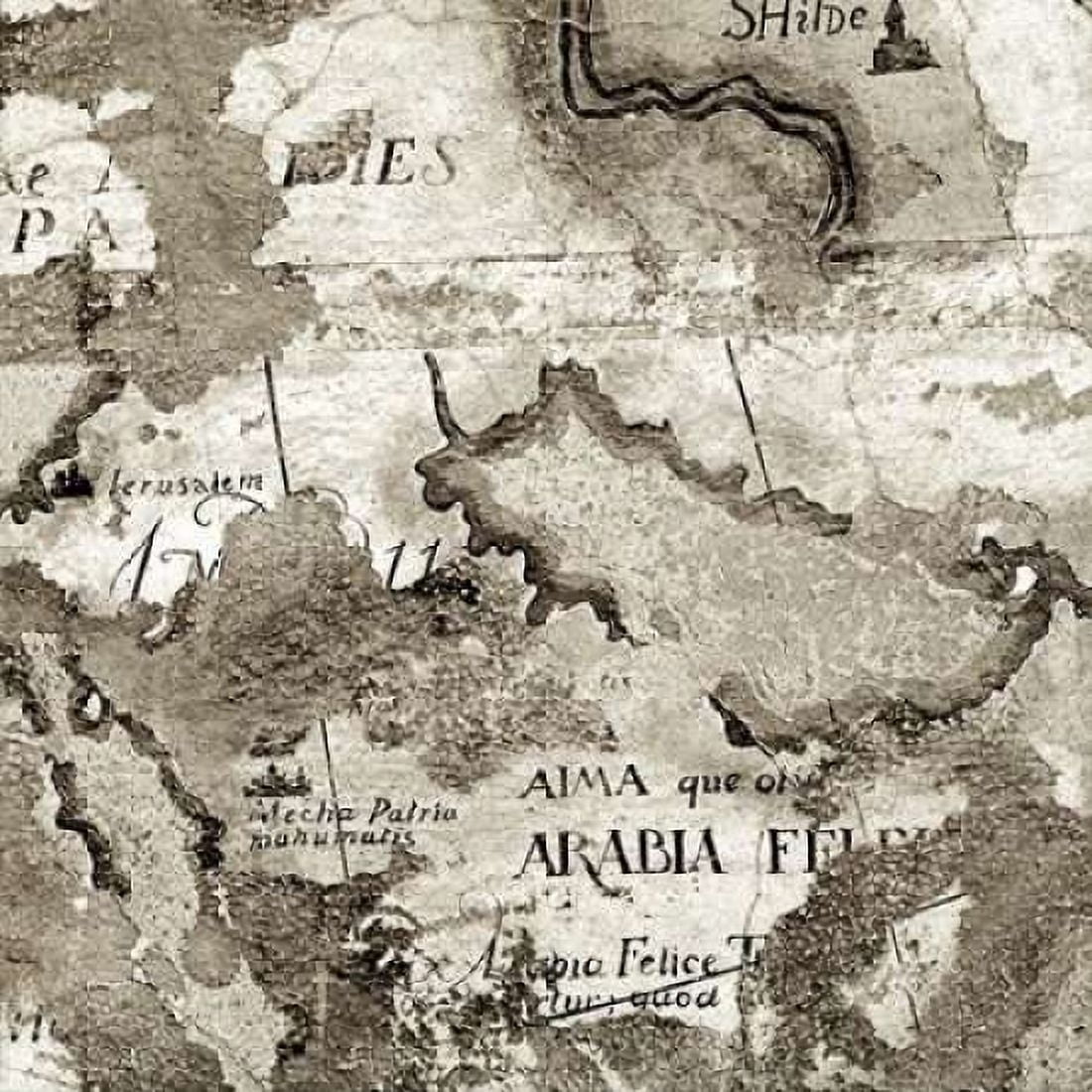 La Mappa - 2 Canvas Art - Alan Blaustein (24 x 24)