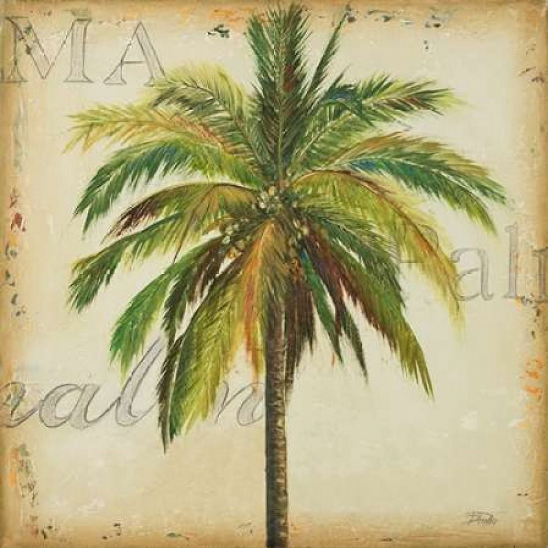 La Palma I Canvas Art - Patricia Pinto (24 x 24)