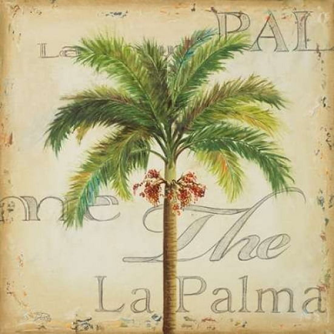 La Palma II Canvas Art - Patricia Pinto (24 x 24)