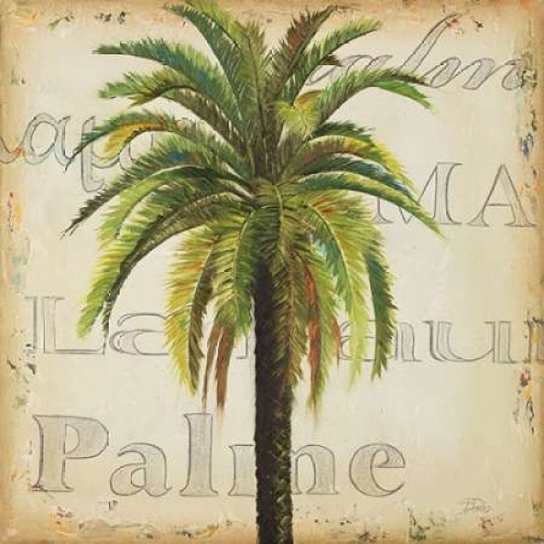 La Palma III Canvas Art - Patricia Pinto (24 x 24)