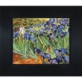thumbnail image 1 of La Pastiche  Vincent Van Gogh 'Irises' Hand-painted Framed Canvas Art, 1 of 5
