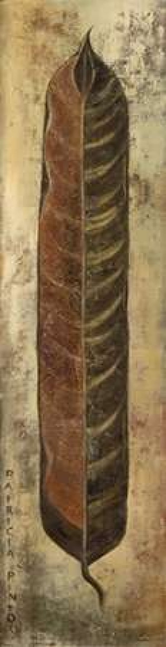 La Pluma I Canvas Art - Patricia Pinto (12 x 36)