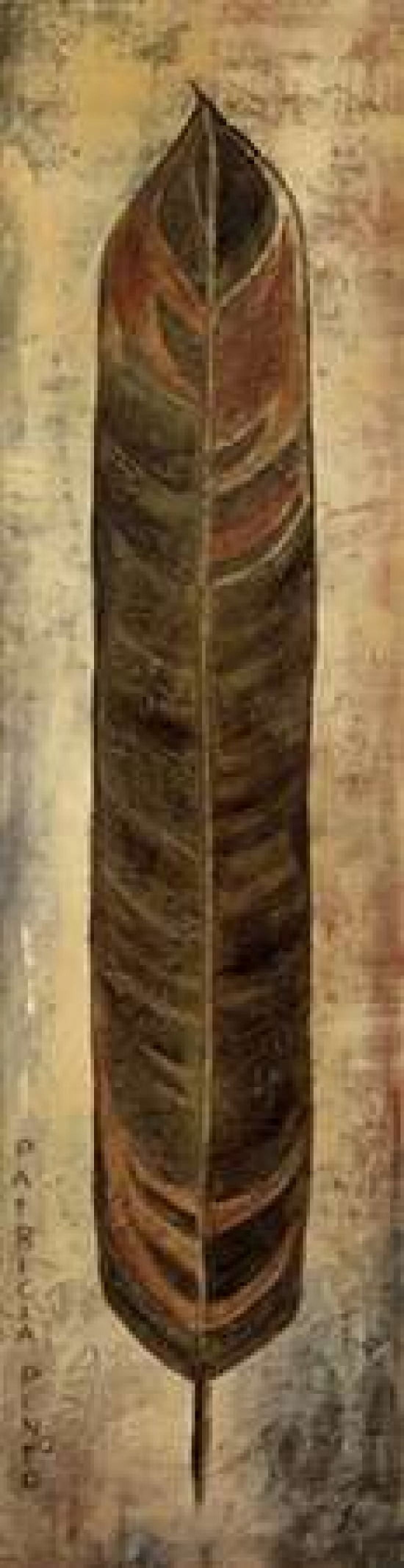 La Pluma II Canvas Art - Patricia Pinto (12 x 36)