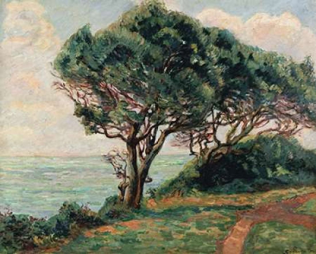 La Pointe De La Pierriere St Palais Canvas Art - Armand Guillaumin (20 x 24)