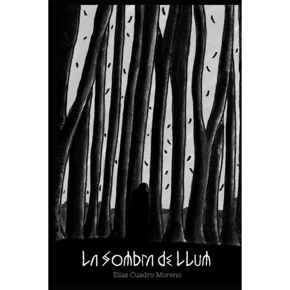 La Sombra de Llum, (Paperback)