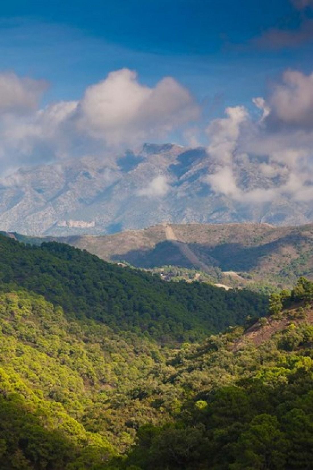 La Torresilla Mountain Malaga Province Spain Canvas Art - Walter Bibikow DanitaDelimont (25 x 38)