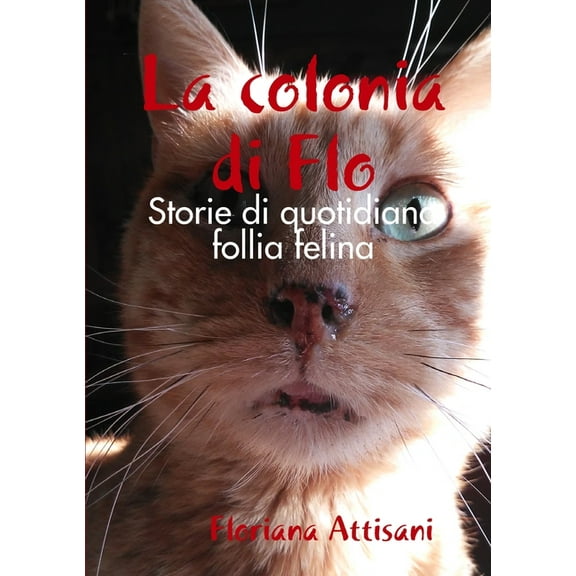 La colonia di Flo (Paperback)