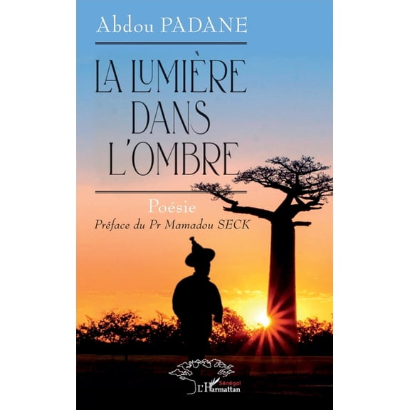 La lumiÃ¨re dans l'ombre, (Paperback)