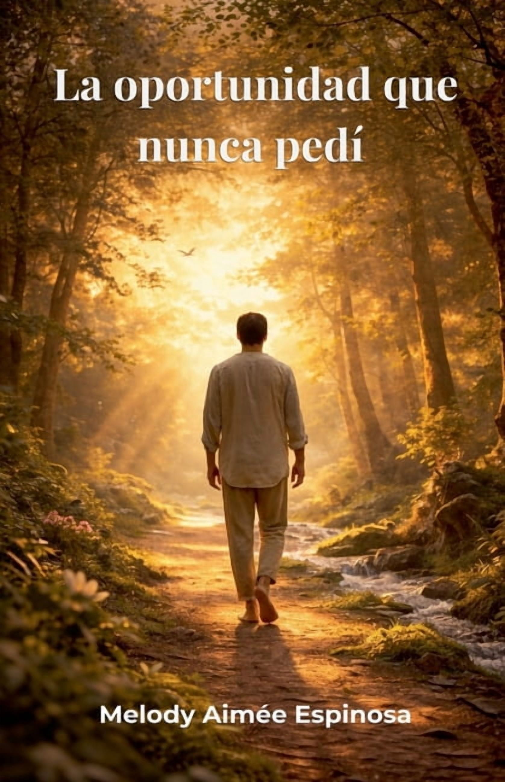 La oportunidad que nunca pedÃ­, (Paperback)