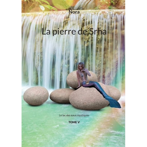 La pierre de Srha: le lac des eaux mystiques tome V, (Paperback)
