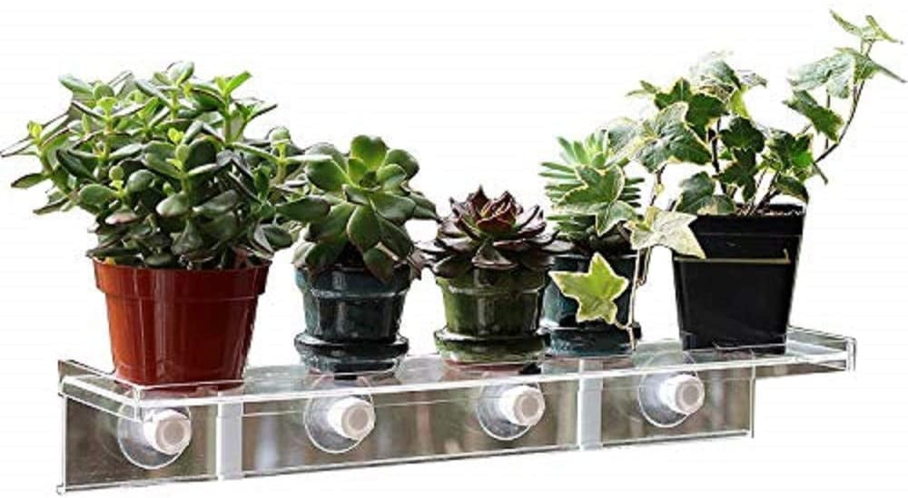LaBrinx Designs Small Suction Cup Shelf - Live Plants, Windows, and  Bathrooms