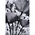 thumbnail image 1 of LaDole Rugs LaDole Navy and White Poppy Area Rug Grey Black 6'2" x 9'2" (190cm x 280cm) 6' x 9' Living Room,Patio,Bedroom, 1 of 5