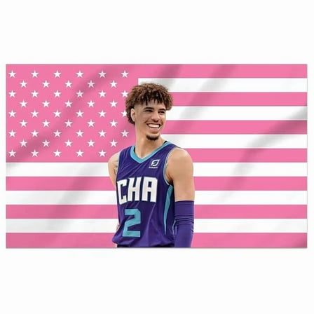 LaMelo Ball Decorative Flag Pink American Cool Banner Funny Tapestry With Two Grommets For College Dorm Room Guys Porch