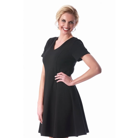 LaMonir Women's Rayon/Nylon/Spandex Short V-neck Short-sleeved Panel Dress