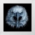 thumbnail image 1 of LaMontagne, Patrick 12x12 White Modern Wood Framed Museum Art Print Titled - Eagle Face, 1 of 4