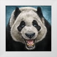 thumbnail image 1 of LaMontagne, Patrick 12x12 White Modern Wood Framed Museum Art Print Titled - Panda Face, 1 of 4