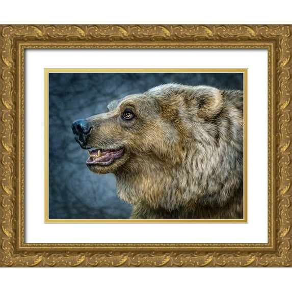 LaMontagne, Patrick 14x12 Gold Ornate Wood Framed with Double Matting Museum Art Print Titled - Bear Wonder