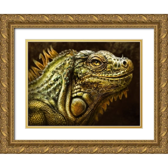LaMontagne, Patrick 14x12 Gold Ornate Wood Framed with Double Matting Museum Art Print Titled - Iguana