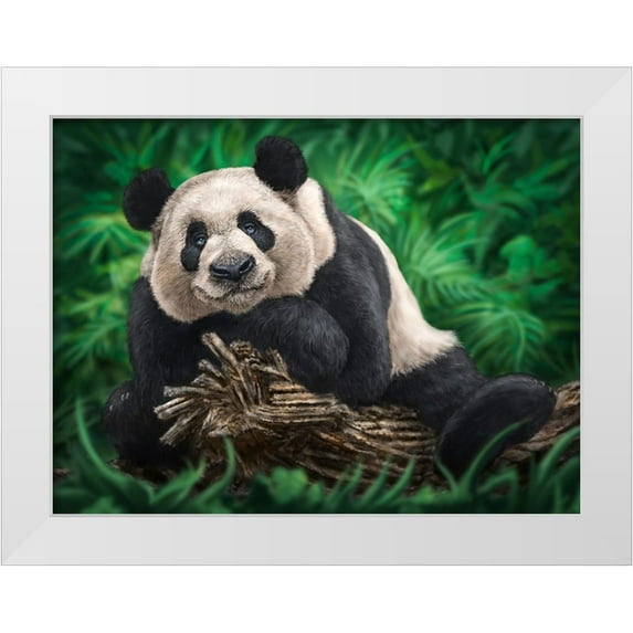 LaMontagne, Patrick 24x19 White Modern Wood Framed Museum Art Print Titled - Peaceful Panda