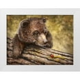 thumbnail image 1 of LaMontagne, Patrick 32x25 White Modern Wood Framed Museum Art Print Titled - Kodiak Cub, 1 of 4
