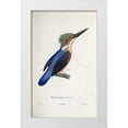 thumbnail image 1 of LaPlace, Cyrille Pierre Theodore 13x18 White Modern Wood Framed Museum Art Print Titled - Malagasy Kingfisher, 1 of 4