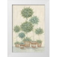 thumbnail image 1 of LaPoint, Annie 23x32 White Modern Wood Framed Museum Art Print Titled - Tall Topiaries, 1 of 4