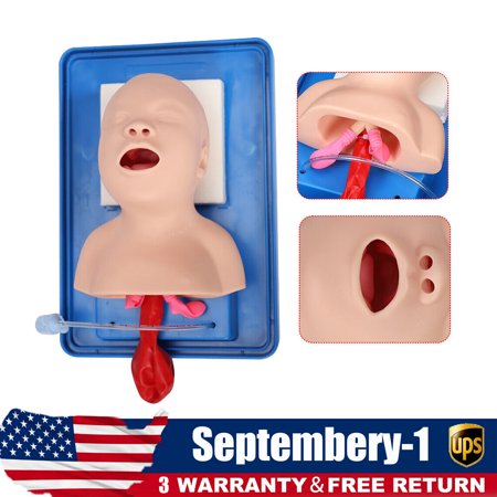 Lab Airway Intubation Manikin Study Infant Model Management Trainer Aid PVC NEW
