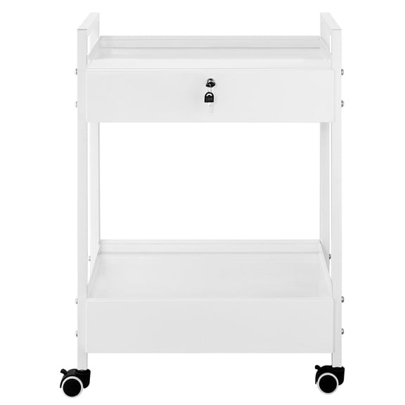 Lab Cart 2 Tier, Stainless Steel Utility Cart with Drawers, Rolling Medical Cart White, Swivel Casters for Lab, Hospital, Dental, Salon