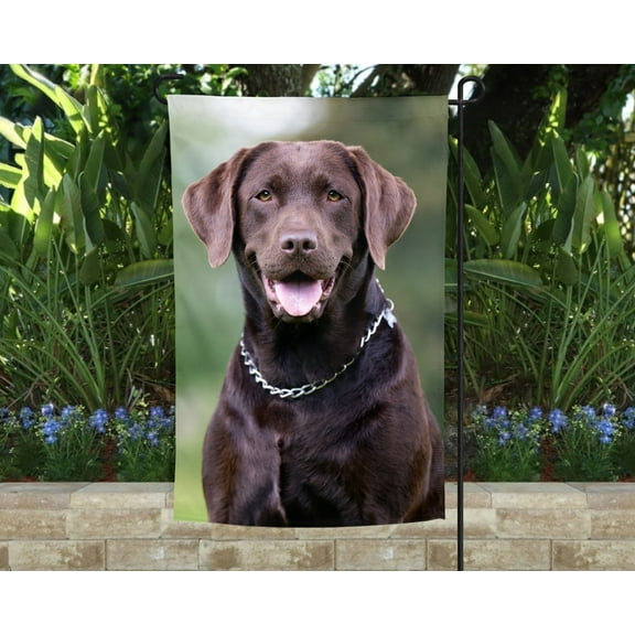 Lab - Chocolate Garden Flag