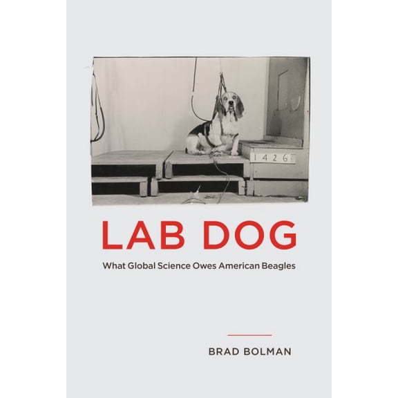 Pre-Owned Lab Dog: What Global Science Owes American Beagles, (Paperback)