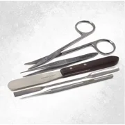 Lab Essential Tools 5 Pcs Kit Teasing Needle, Tweezers Double Ended Spatulas, Lab Work Instruments Multipurpose Wooden Handle Spatula For Science Students