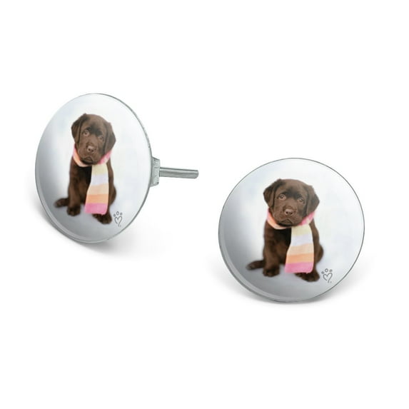 Lab Labrador Puppy Dog Wearing Scarf Novelty Silver Plated Stud Earrings