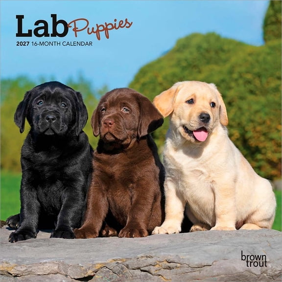 Lab Puppies 2027 7 X 14 Inch (Hanging) Monthly Mini Wall Calendar, (Paperback)