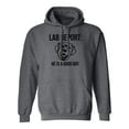 thumbnail image 1 of Lab Report Adult Hooded Sweatshirt, 1 of 3