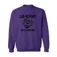 thumbnail image 1 of Lab Report Crewneck Sweatshirt, 1 of 3