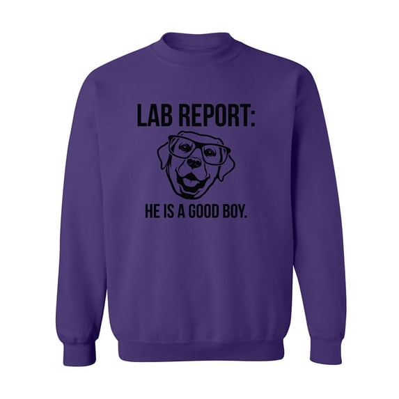 Lab Report Crewneck Sweatshirt