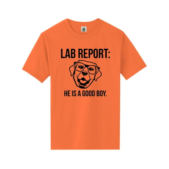Lab Report Short Sleeve Neon T-Shirt